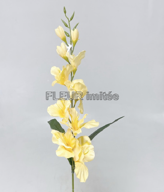 Mečík 81cm 48/288