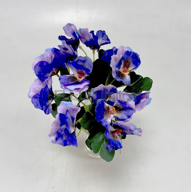 Maceška x7/14  28cm 24/288