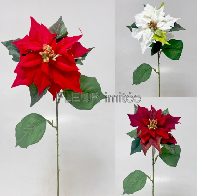 Poinsettia 60/21cm 12/288