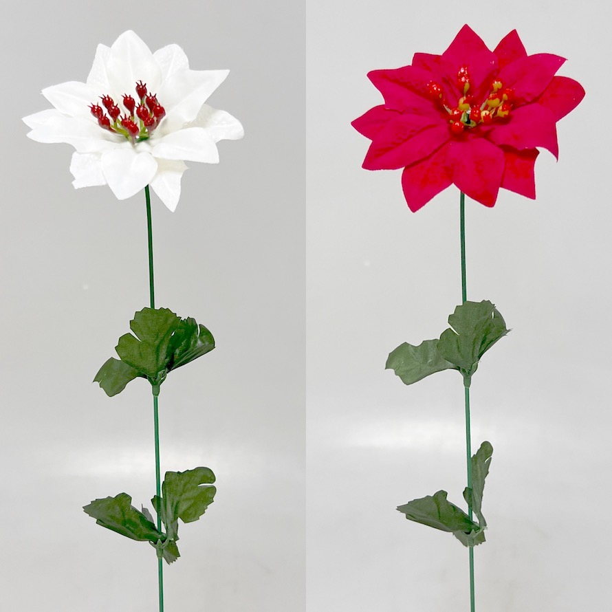 Poinsettia velvet 50/10cm 12/144