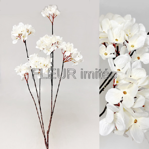 Hortenzie x6 70cm 12/48