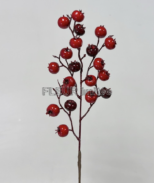 Šípek 56cm 12/120