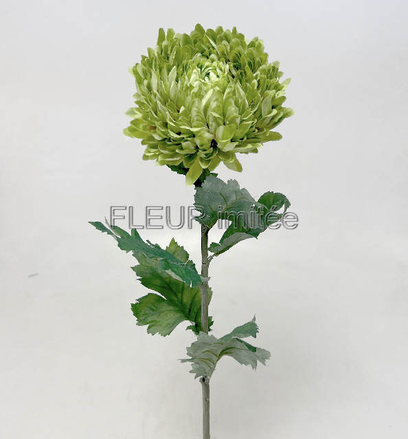 Chryzantema x1 74cm 24/192