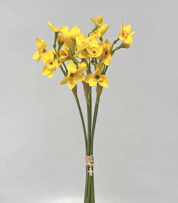Narcis mini x5 34cm