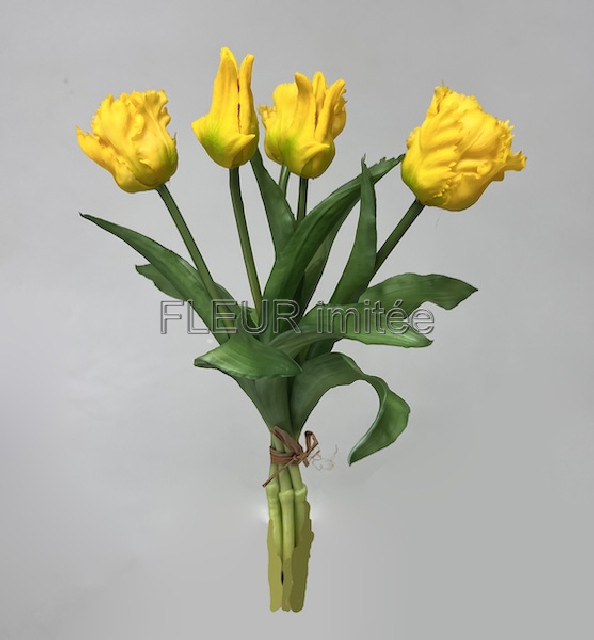 Tulipán x5 latex 30cm papouš.12/96