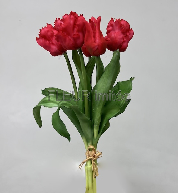 Tulipán x5 latex 30cm papouš.12/96