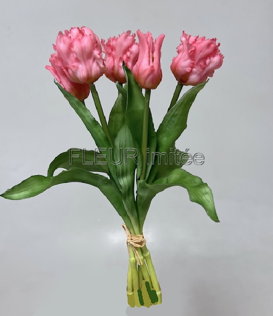 Tulipán x5 latex 30cm papouš.12/96