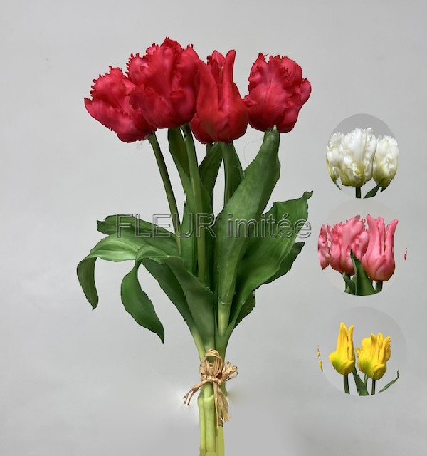 Tulipán x5 latex 30cm papouš.12/96