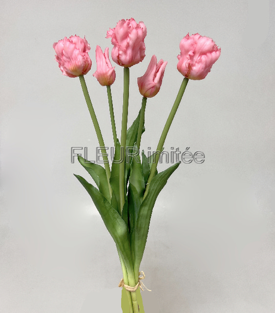 Tulipán x5 latex 47cm  12/72