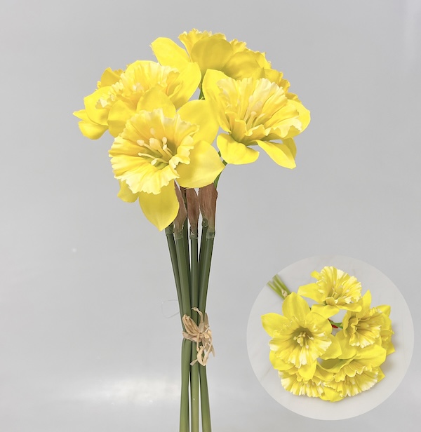 Narcis x5 30cm 24/240