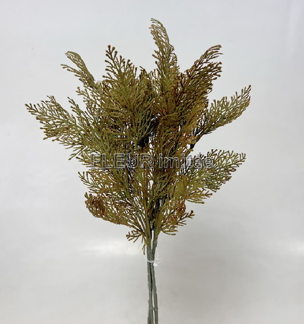 Tuje x3 55cm 72/432