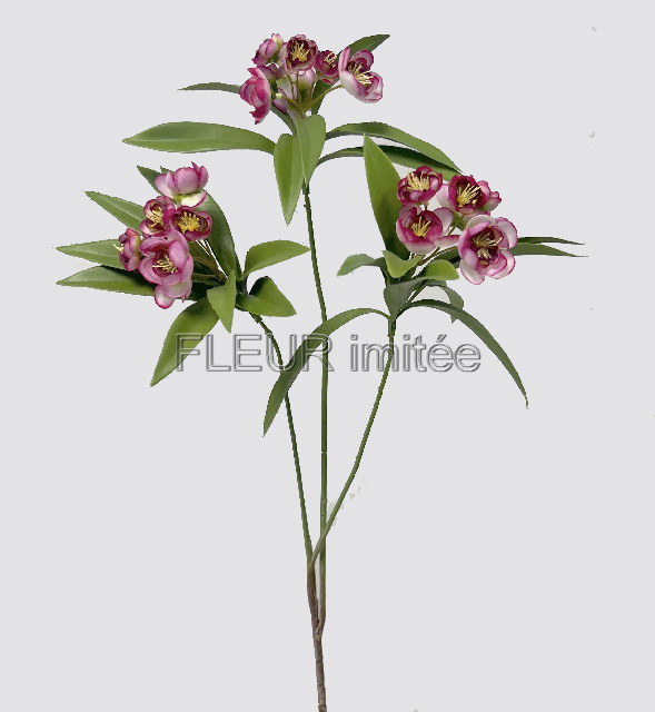 Manuka  x3 85cm  12144