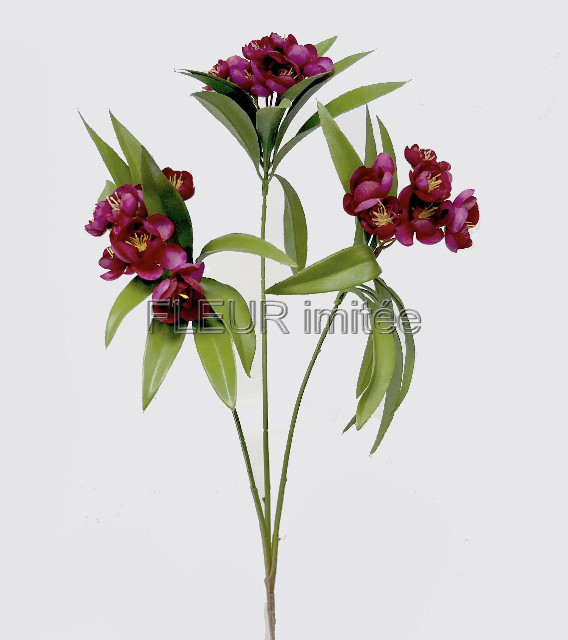 Manuka  x3 85cm  12144