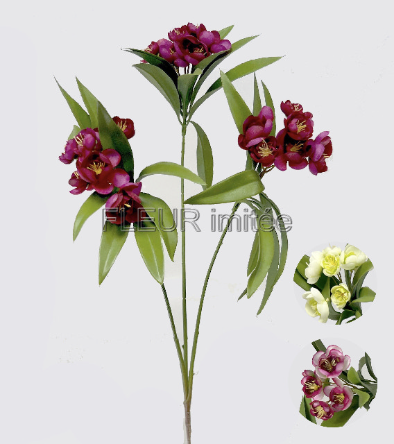 Manuka  x3 85cm  12144