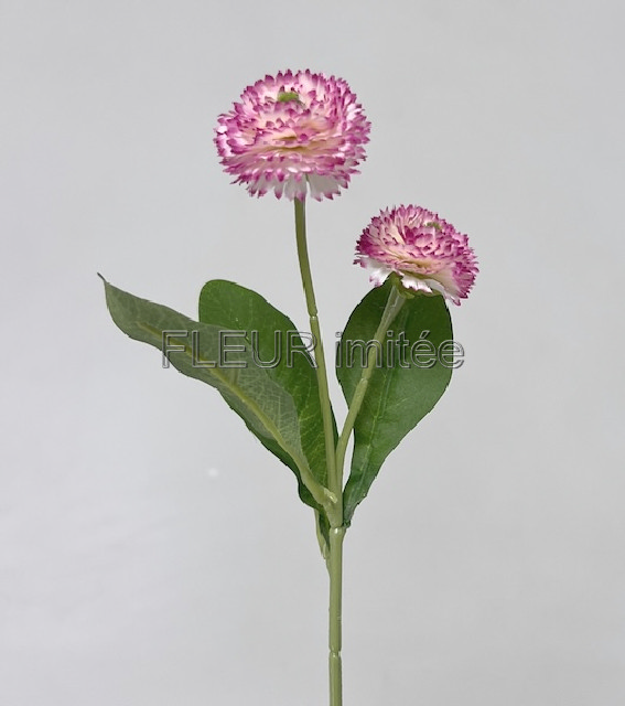 Sedmikráska x2 25cm