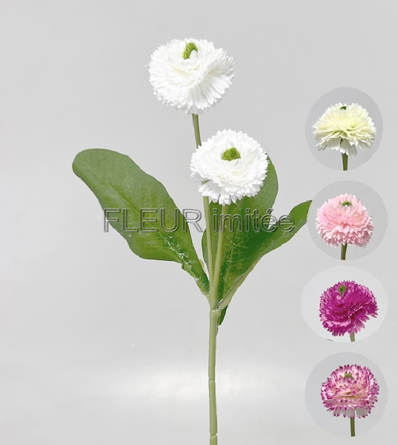 Sedmikráska x2 25cm