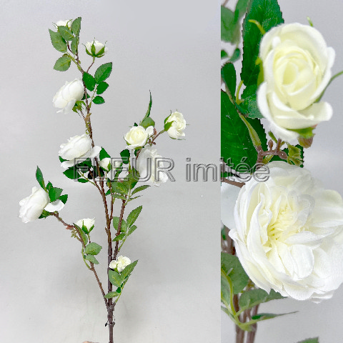 Růže větev 90cm Angel 12/120