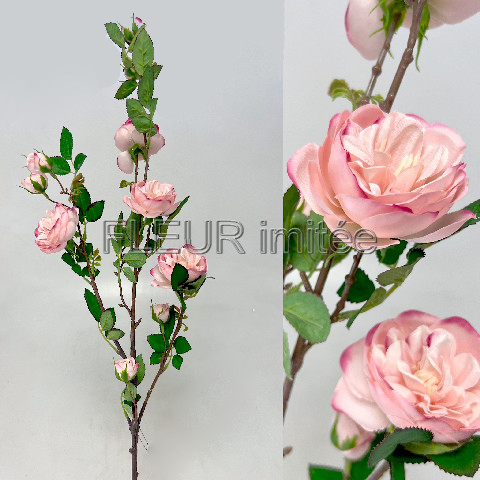 Růže větev 90cm Angel 12/120