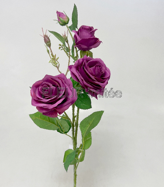 Růže x4 79cm SUN880 18/180
