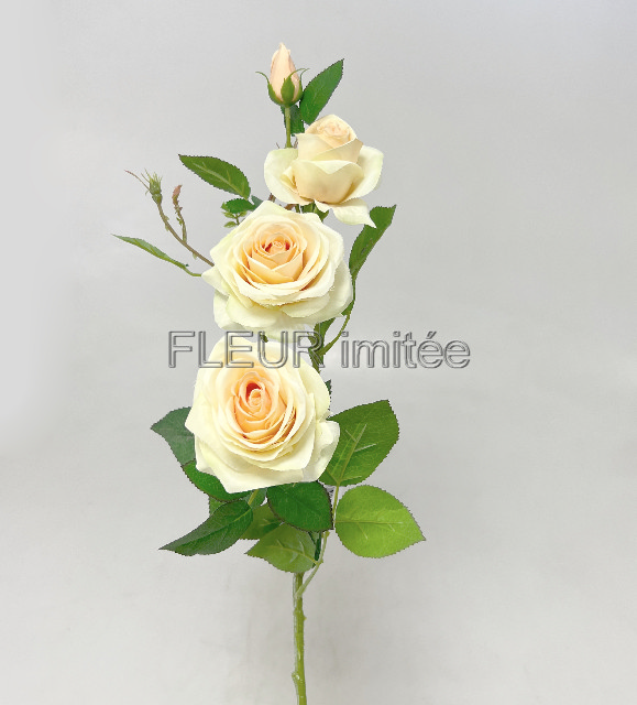 Růže x4 79cm SUN880 18/180