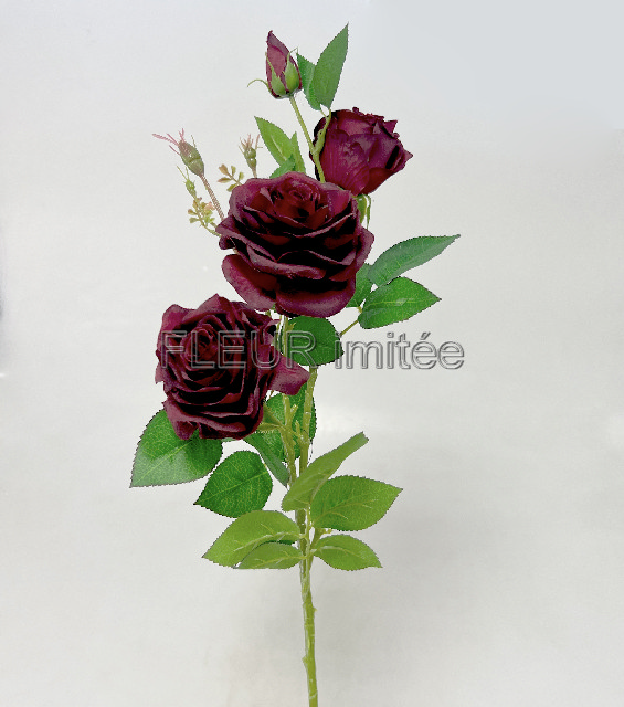 Růže x4 79cm SUN880 18/180