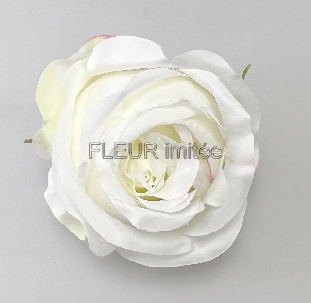 Květ růže Tiamo 8cm 12/240