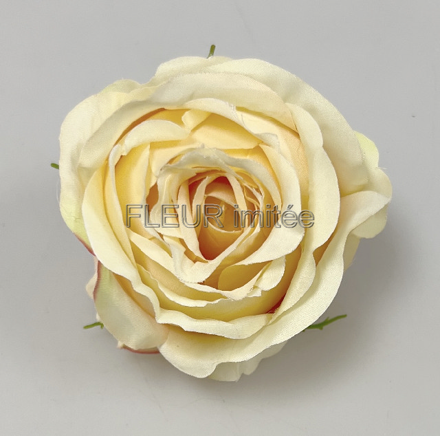 Květ růže Tiamo 8cm 12/240