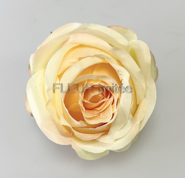 Květ růže Tiamo 8cm 12/240