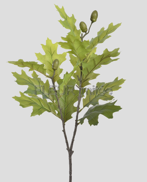 Větev dub 68cm 24/144