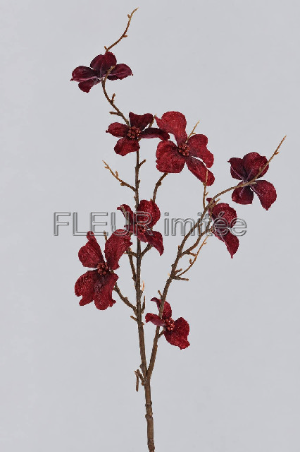Dřín LUX velvet 80cm 24/240