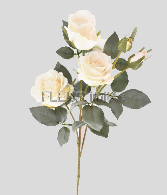 Růže x 5 65cm