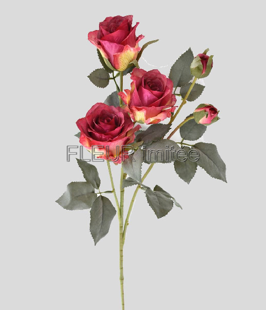 Růže x 5 65cm