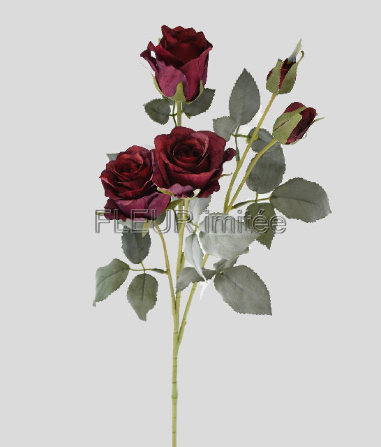 Růže x 5 65cm