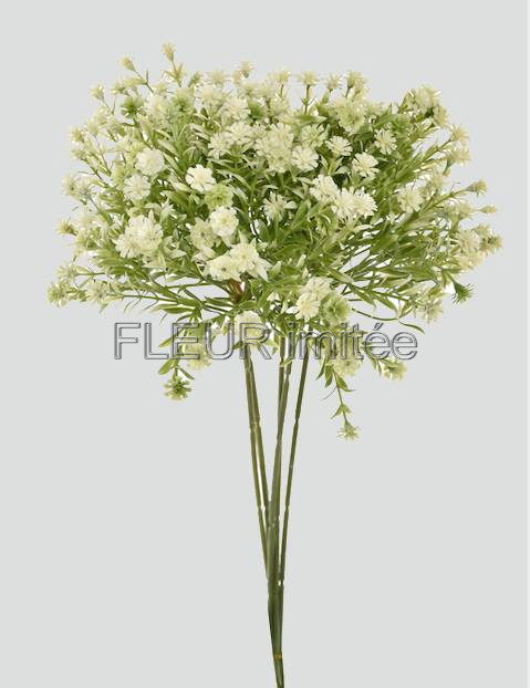 Gypsophila  46cm  6/192