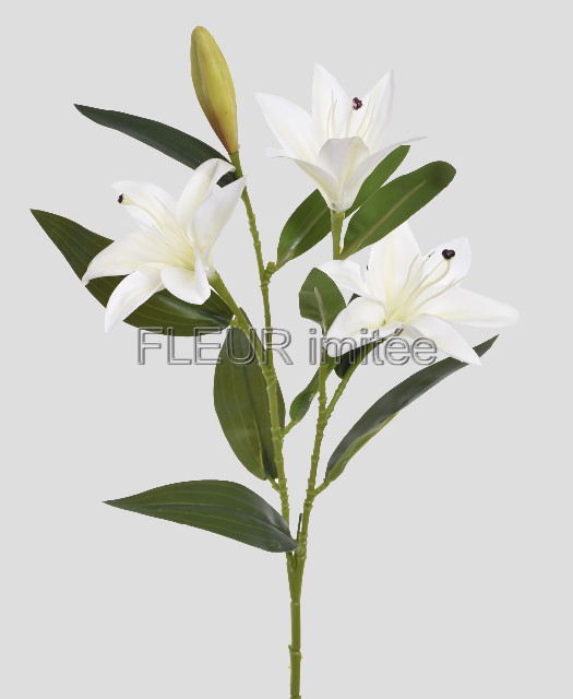 Lilie x3 78cm 36/144