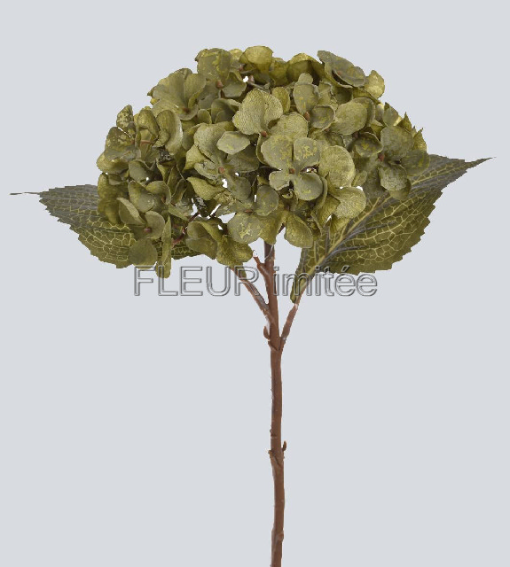 Hortenzie 46cm 24/192