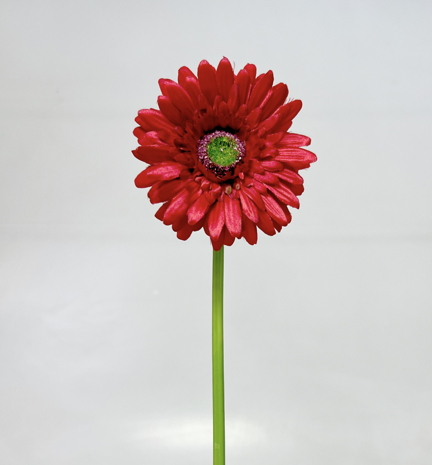 Gerbera 45cm   48/672