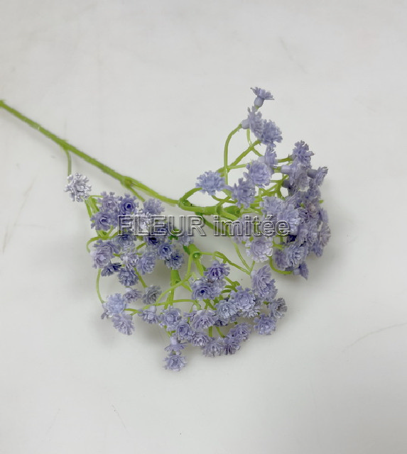 Gypsophila latex 60cm S455 12/96
