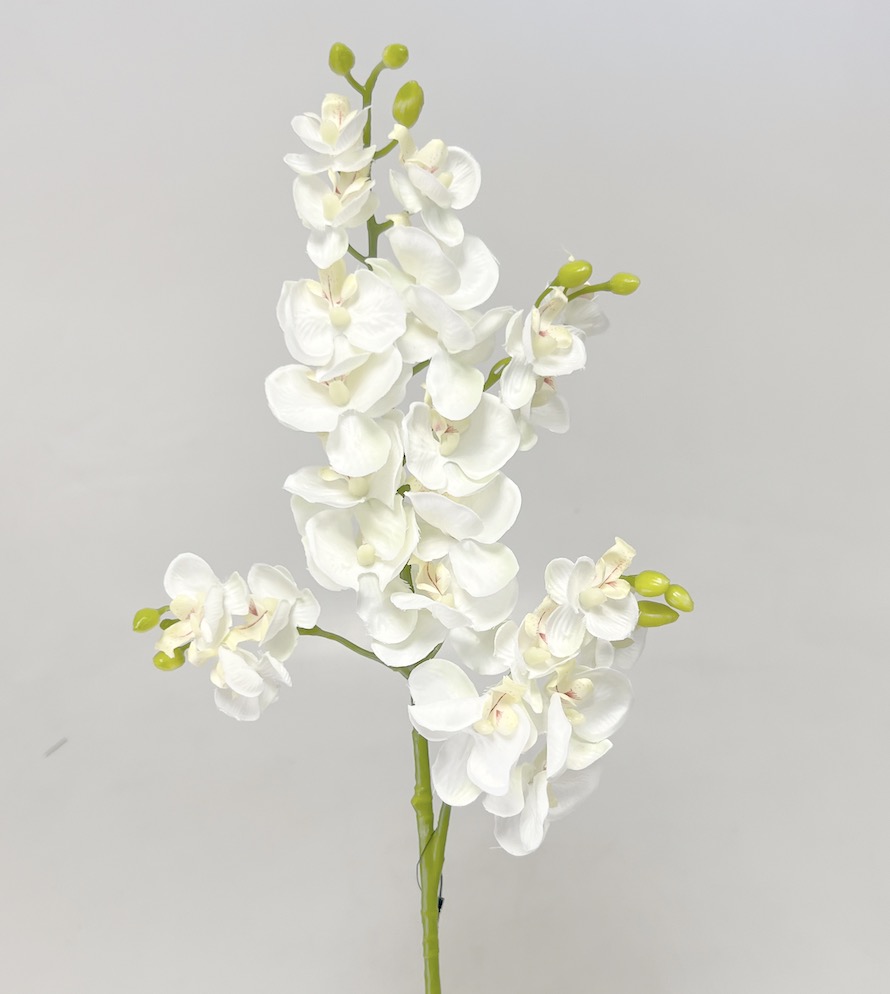 Orchidea x4 70cm  48/240