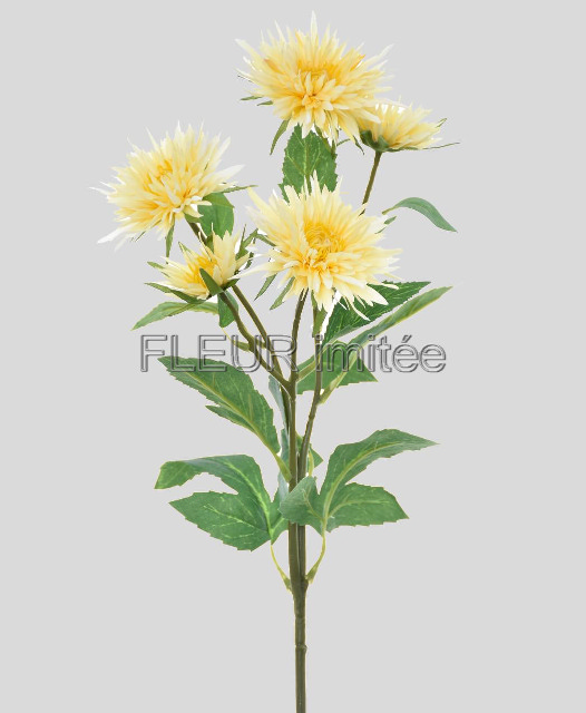 Chryzantéma x5 72cm S662 24/480