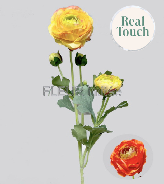 Ranunculus x5 52cm 12/120