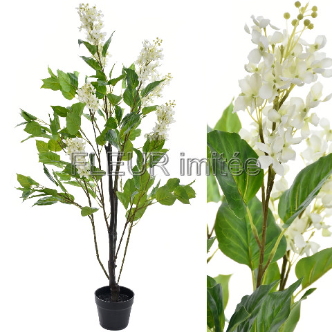 Šeřík keř 125cm