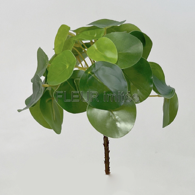 Penízky záp. 22cm 36/