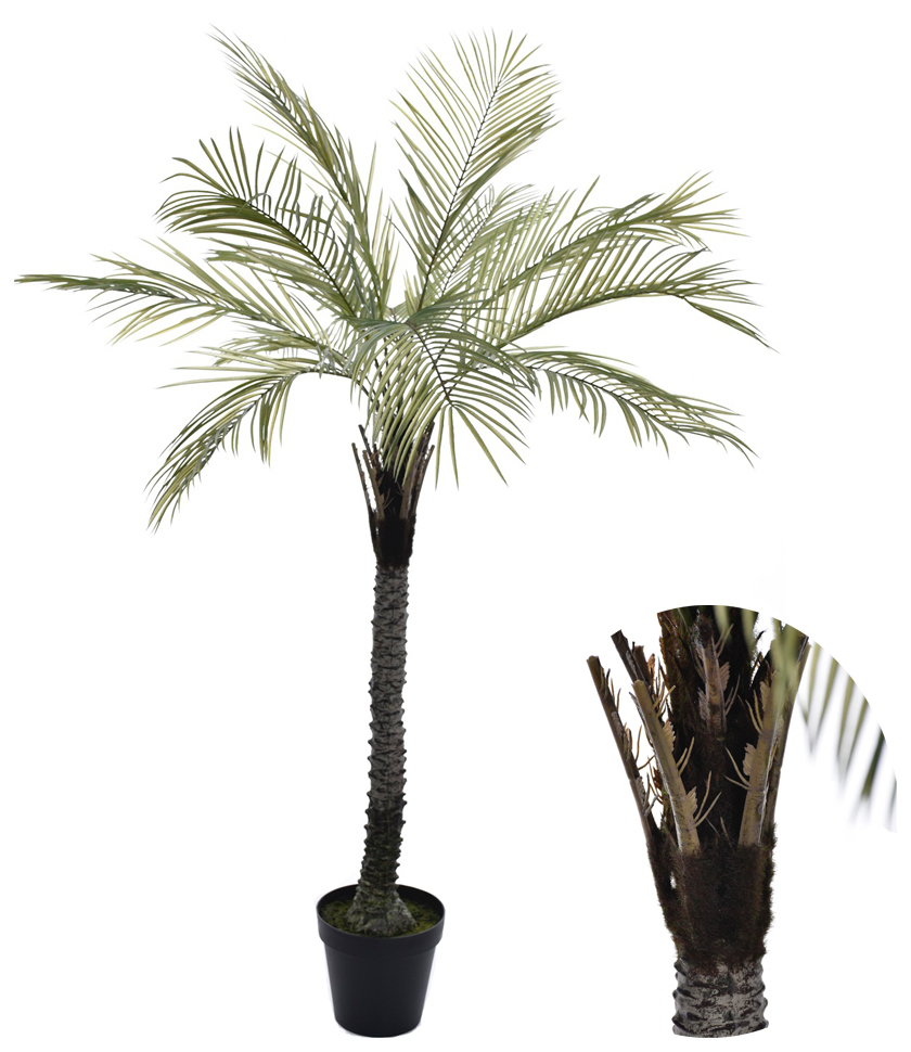 Palma 180cm