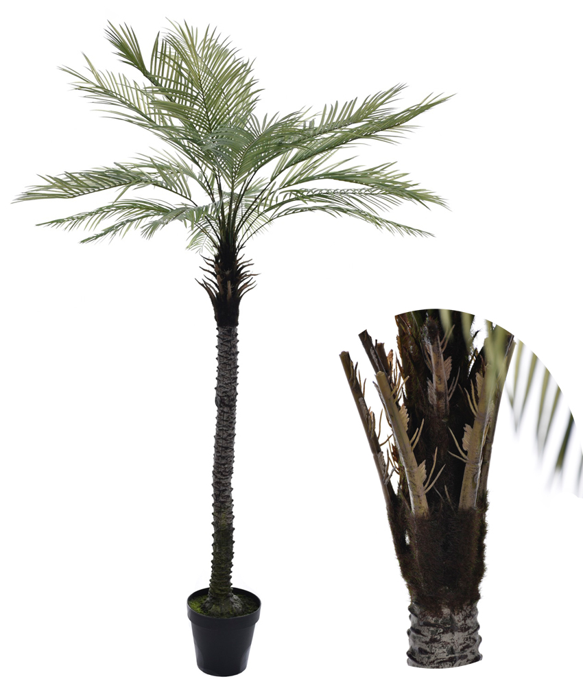 Palma 220cm