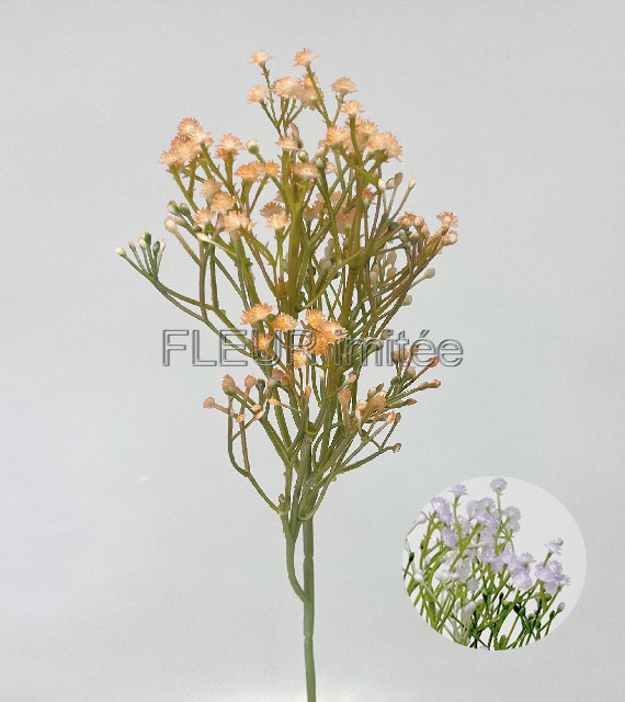 Gypsophila 50cm 12/96