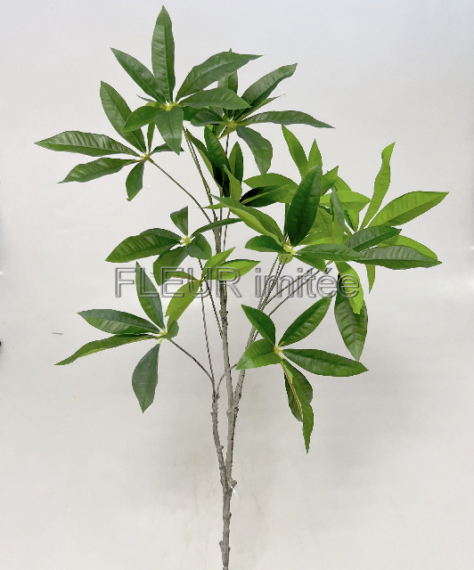 Pachira větev 95cm 12/48