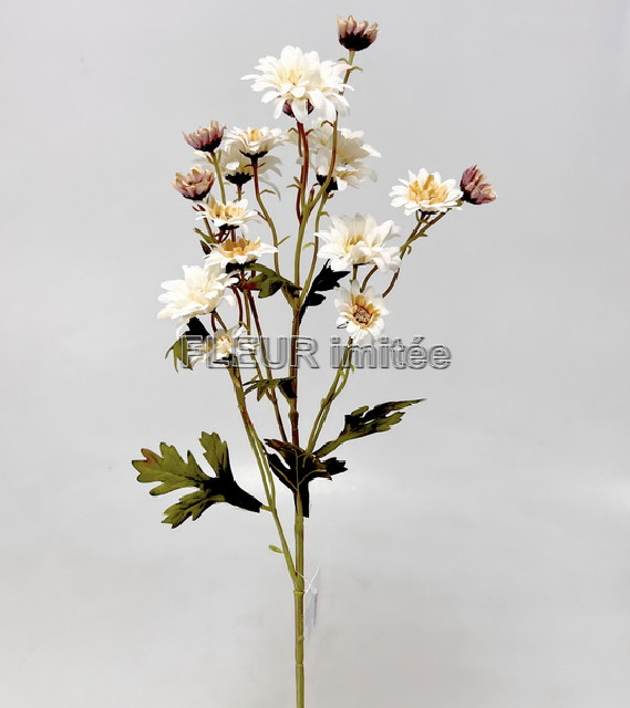 Chryzantema x1 60cm 24/240