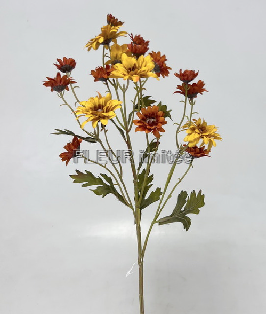 Chryzantema x1 60cm 24/240