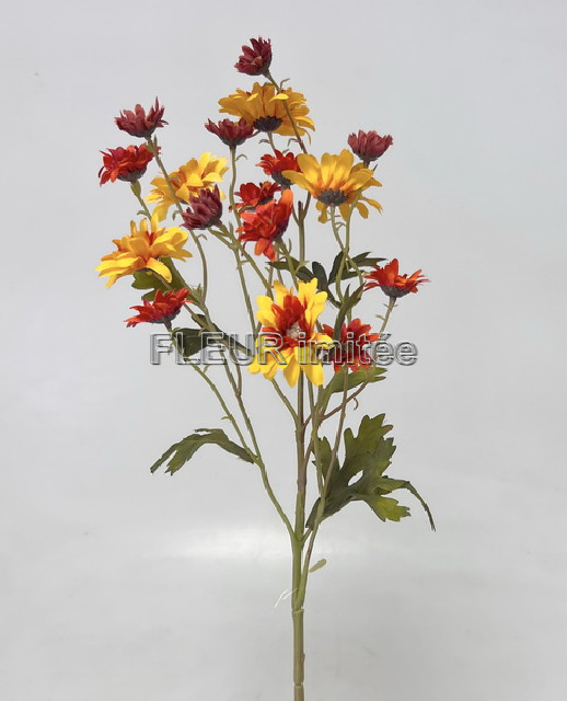 Chryzantema x1 60cm 24/240